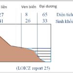 Có phải nơi bãi nhận chìm bùn cát thải từ NM điện Vĩnh Tân chỉ có cát không thôi?