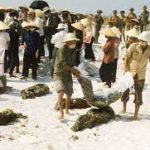 50 năm – Mậu Tuất (2018) uất nghẹn Mậu Thân (1968), Từ tiết lộ của người trong cuộc… Nguyễn Đắc Xuân