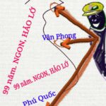 Đặc khu: Cải cách hay cách cãi?