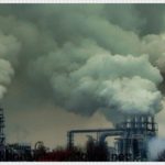 Tất cả đang chết dần, chết mòn