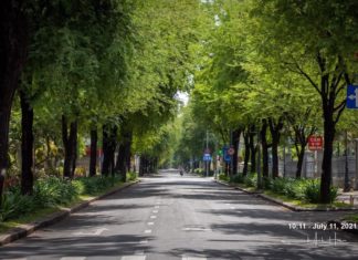 Lan man lắm chuyện (Phần 11)