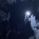 Không lẽ dân tộc này lại bất hạnh đến thế sao?