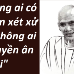 Hòa Thượng Thích Tuệ Sỹ, Chánh án Nguyễn Hòa Bình và hệ thống tư pháp Việt Nam