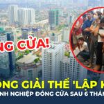Không thể “giải cứu” mà là điều chỉnh