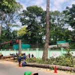 Không phải chỉ tham và dốt, mà là cố tình phá hoại