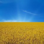 Tình hình Ukraina ngày thứ 797