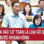 Của quý sao bằng củi quý?