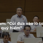 Quốc hội và… ‘gỗ quý’