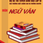 Về đề thi Ngữ văn, tuyển sinh vào lớp 10 THPT tỉnh Thanh Hóa năm 2024