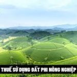 Trông chờ ngày nó lụi tàn