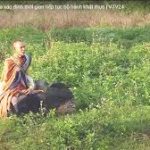 Rất khó chịu cách VTV đưa tin về ông Thích Minh Tuệ