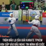 Về trận đấu lùm xùm ở Giải Năng khiếu Karate TP.HCM 2024: Tám đại võ sư tối cao, đại võ sư, võ sư karate quốc tế nói gì?