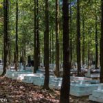 Chuyện một người lính phản chiến