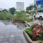 Tự giác và bất lương