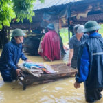 Bi kịch của cái đầu