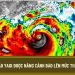 Ráng xài tiếng Việt cho đúng, xài bậy, dân họ cười cho