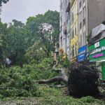 “Cháy nhà ra mặt chuột”