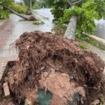 Một thực hành quái dị