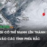 Con người cần tôn trọng thiên nhiên…