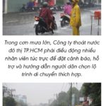 Vì sao vùng cao ngập mưa, vùng trũng ngập triều?