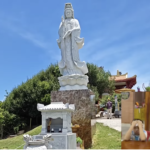 Sư Minh Đạo, hay bi kịch của người cô thế