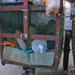 Người mẹ trẻ và đứa con nhỏ trong lồng lưới sắt