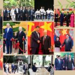 Hãy dẹp cái bụi tre ấy đi!