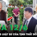 Hồ sơ Đặng Đình Mạnh qua văn bản trả lời Cao uỷ Nhân quyền LHQ của chính quyền Việt Nam