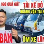 Vài so sánh từ Nghị định 168