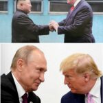 Sau Riyadh, liệu Hà Nội có thể là điểm hẹn của thượng đỉnh Trump-Putin?