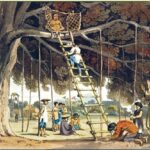 Chuyến đi nước Việt Đàng Trong năm 1792-1793 (Phần 4)