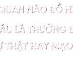 Cơ quan nào bổ nhiệm cho Báu là trưởng đoàn?