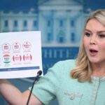 Mỹ cáo buộc Nhật áp thuế 700% lên gạo Mỹ. Có thật vậy không?