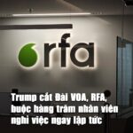 Tự chặt tay chặt chân mình…