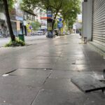 Ai chịu trách nhiệm cho hơn 2.000 cây xanh bị xâm hại trong đợt cải tạo vỉa hè này?