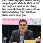 Blouse trắng sọc đen