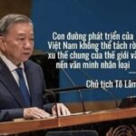 Tình cảm và lý trí