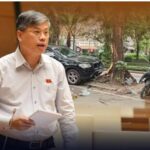 Tội của quan và lỗi của dân