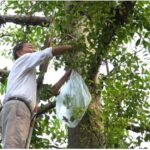 Bản chất tầm gởi của trí thức Việt Nam? (Phần 2)