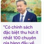 Về chuyện thu hút chuyên gia hàng đầu