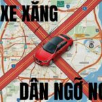Em ơi, Hà Nội cấm: “Trạng thái tinh thần nào?”