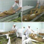 Để lại bộ da: “Bao khổ ấy thôi cần chi nói nữa!”