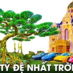 Hoa kiểng và vận nước