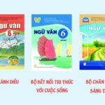 Một bộ sách giáo khoa – Xin hãy chém đầu tôi đi đã!