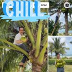 Những hồn ma oán thán FLC