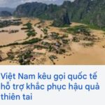 Cứ hoạn nạn thì xin, nhưng tai qua nạn khỏi thì chửi