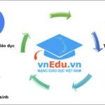 Sổ liên lạc điện tử: Một ví dụ điển hình cho sự tồn tại của cái phi lý