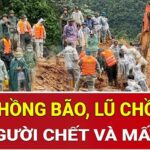 Khi chúng ta không được quyền nổi quạu