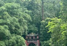 Phản biện là phản động, chấn hưng cũng như trấn áp