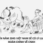 “Lai tại khứ giao duyên”